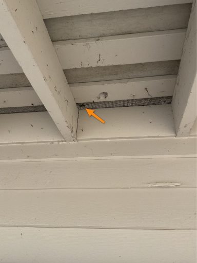 Holes in Ventilation Screen