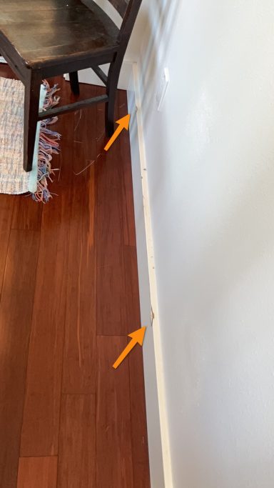 Damaged Trim